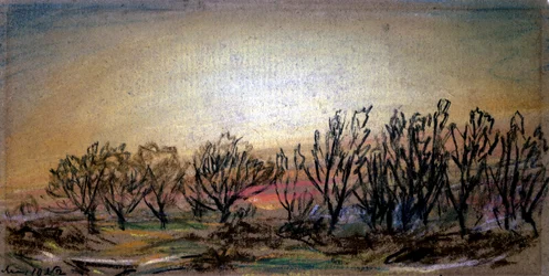 Afterglow Following Sunset, 10th May 1884